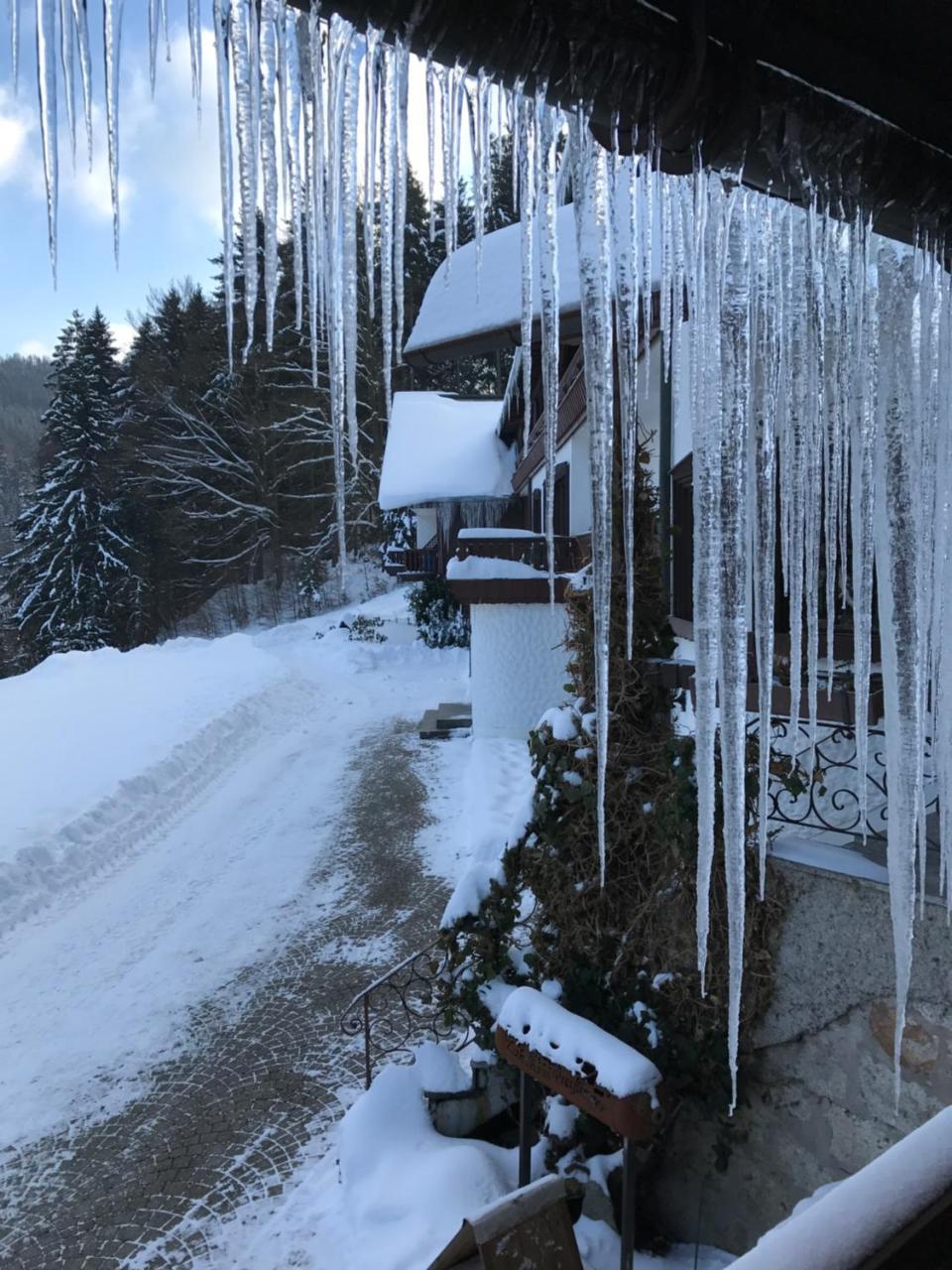 Landhaus Preissinger Warmensteinach Buitenkant foto